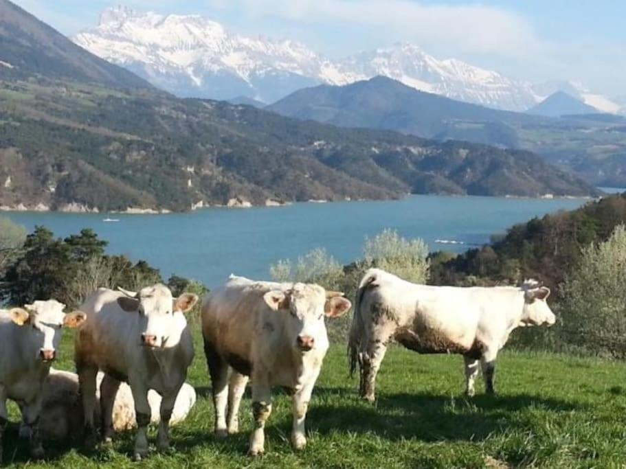 Gite De Charme : La Grange Au Lac Azur Treffort  Экстерьер фото